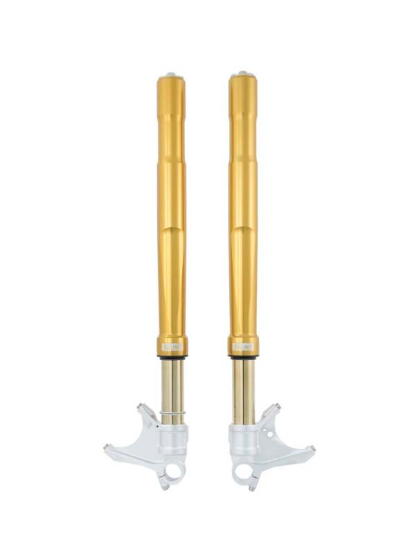 Ohlins 17-22 Suzuki GSX-R 1000 FGRT 200 Fork