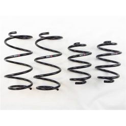 RS-R 13+ Nissan Sentra (TB17 (B17)) Down Sus Springs