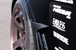 HKS Fender Molding FL5