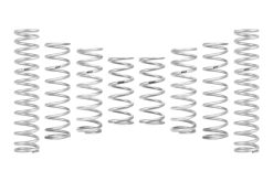Eibach Pro-UTV 2026 Kawasaki TERYX 5 H2 Deluxe eS Stage 1 Comfort Spring Kit