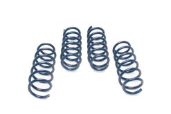Dinan 18-23 BMW M550i xDrive (G30) Performance Spring Set