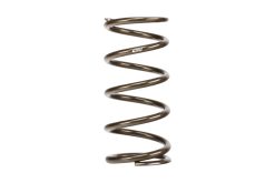 Eibach ERS 11in L x 5.00in OD Platinum Rear Spring - 170 lbs/in