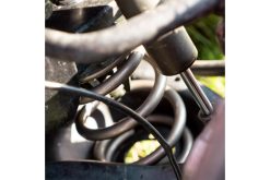 Eibach ERS 11in L x 5.00in OD Platinum Rear Spring - 200 lbs/in - Image 3