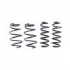 RS-R 05-08 Mazda Mazdaspeed 6 Down Sus Springs