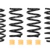 Eibach Pro-Kit EV for 24-25 Tesla Model Y RWD